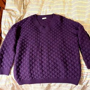 Garnet Hill oversized v-neck cashmere sweater